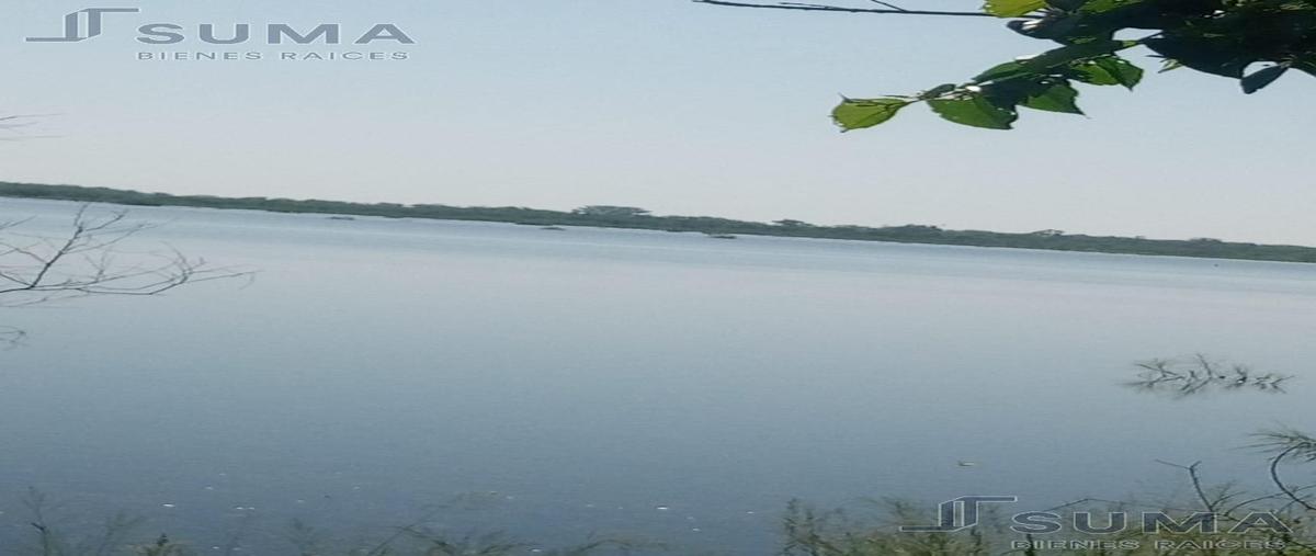 Foto de rancho en venta en  , gonzalez, gonzález, tamaulipas, 26049149 No. 03