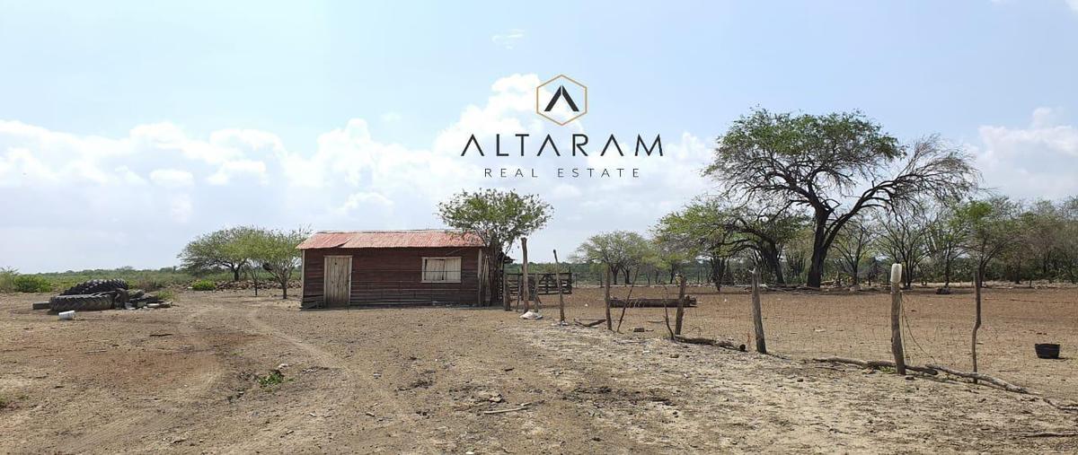 Foto de terreno habitacional en venta en  , gonzalez, gonzález, tamaulipas, 0 No. 03