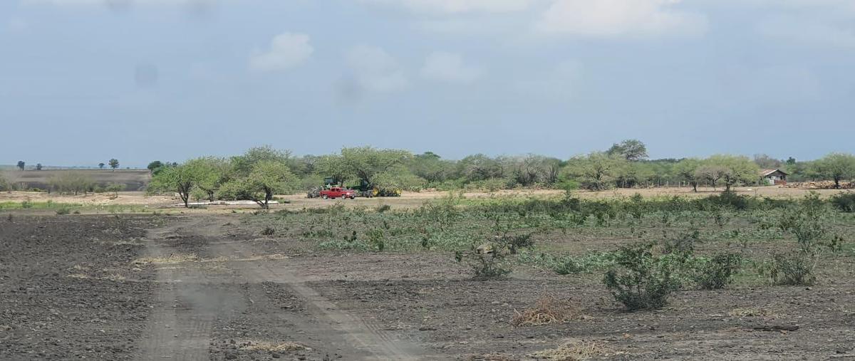 Foto de terreno habitacional en venta en  , gonzalez, gonzález, tamaulipas, 0 No. 05