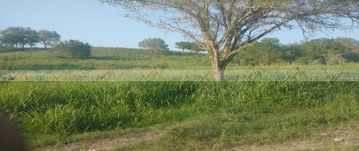 Foto de rancho en venta en  , gonzalez, gonzález, tamaulipas, 26960148 No. 03