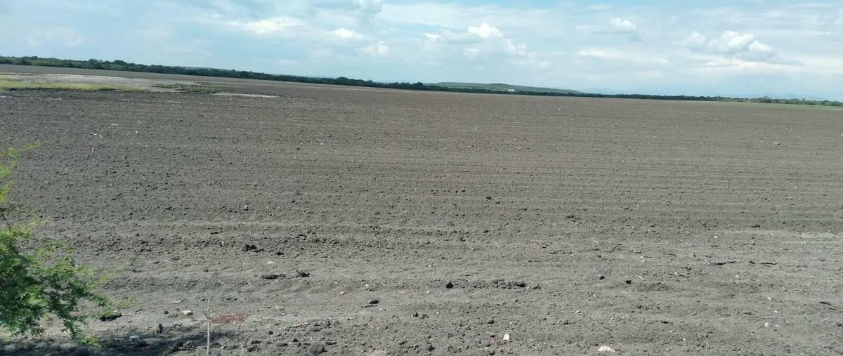 Foto de terreno habitacional en , gonzalez, gonzález, tamaulipas, 0 foto 03 Foto de terreno habitacional en venta en , gonzalez, gonzález, tamaulipas, 0 No. 03