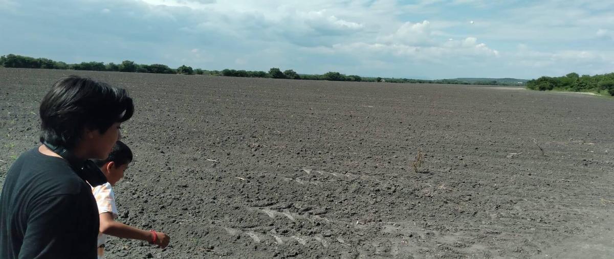 Foto de terreno habitacional en , gonzalez, gonzález, tamaulipas, 0 foto 04 Foto de terreno habitacional en venta en , gonzalez, gonzález, tamaulipas, 0 No. 04