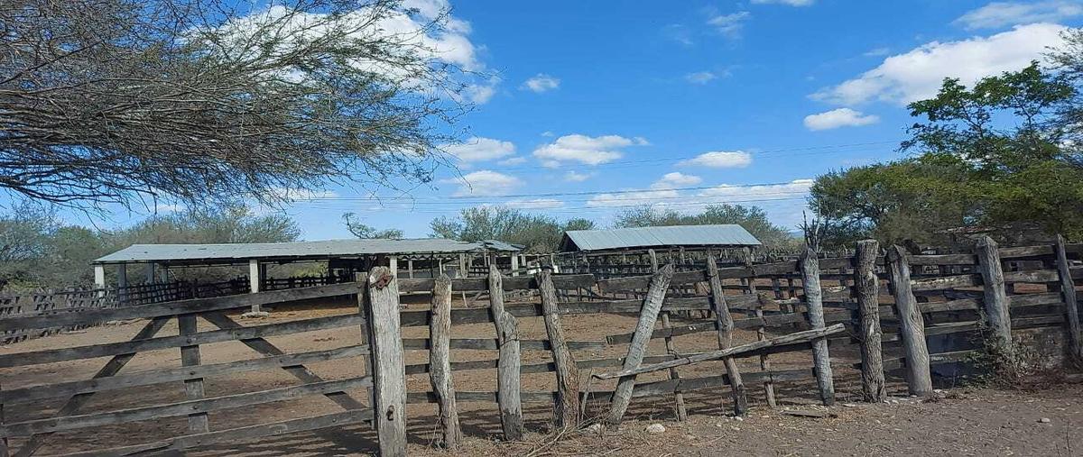 Foto de rancho en , gonzalez, gonzález, tamaulipas, 27414971 foto 04 Foto de rancho en venta en , gonzalez, gonzález, tamaulipas, 27414971 No. 04