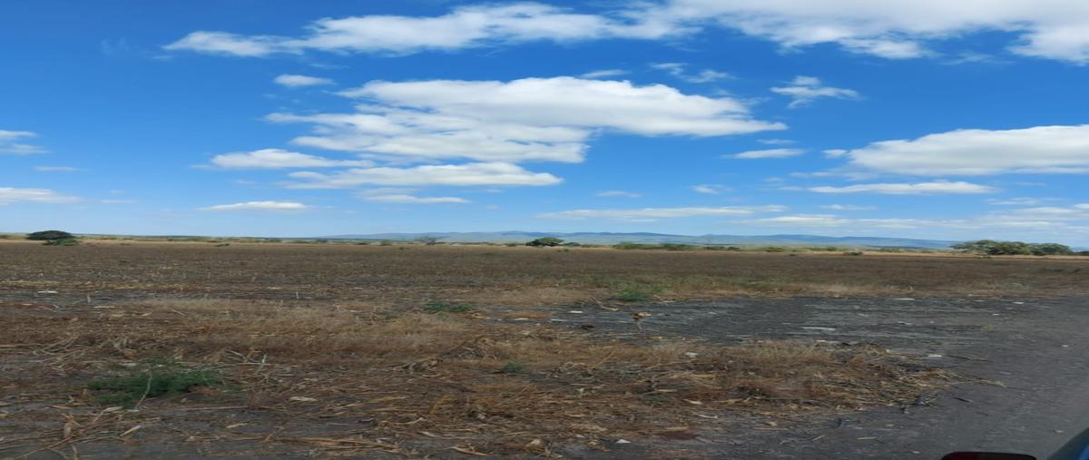 Foto de rancho en venta en  , gonzalez, gonzález, tamaulipas, 27414972 No. 04