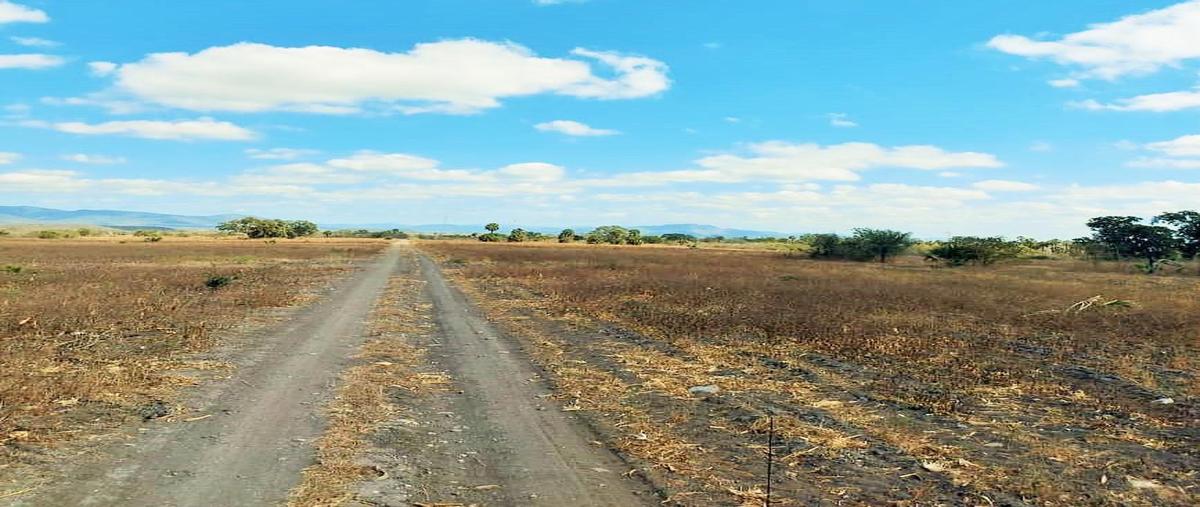 Foto de rancho en venta en  , gonzalez, gonzález, tamaulipas, 0 No. 04