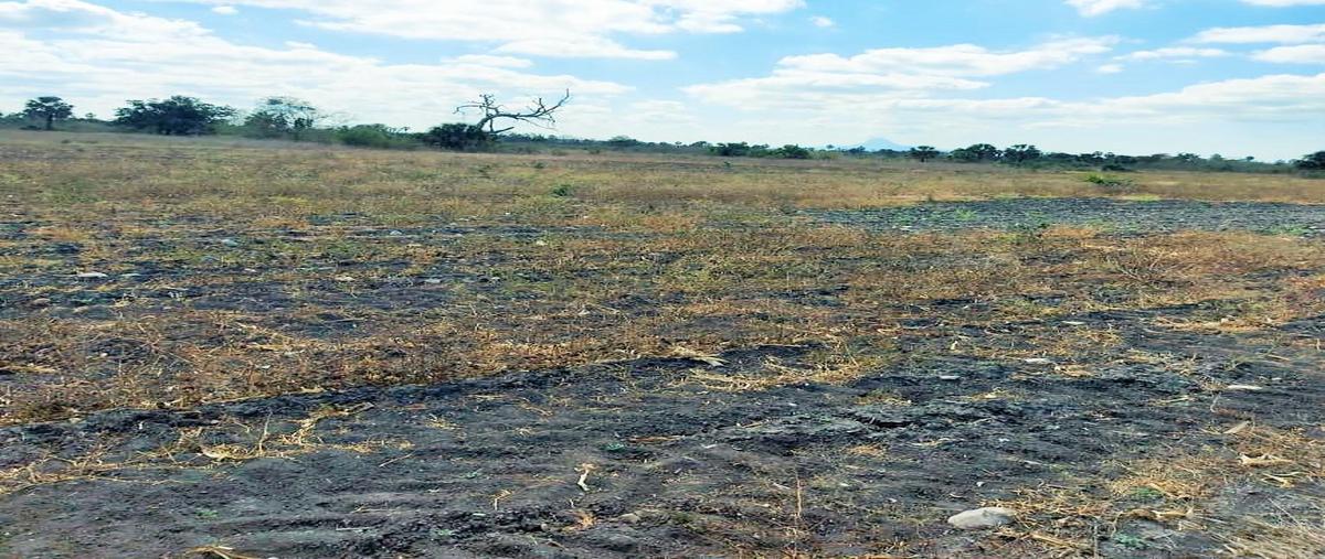 Foto de rancho en venta en  , gonzalez, gonzález, tamaulipas, 0 No. 05
