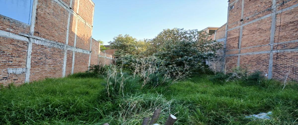 Foto de terreno comercial en venta en gonzalez ortega , santa clara, toluca, méxico, 30622168 No. 06
