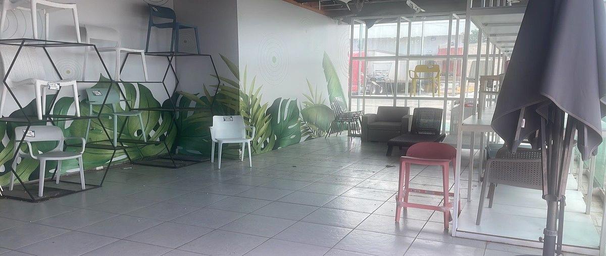 Foto de local en . , gonzalo guerrero, mérida, yucatán, 30785847 foto 06 Foto de local en renta en . , gonzalo guerrero, mérida, yucatán, 30785847 No. 06