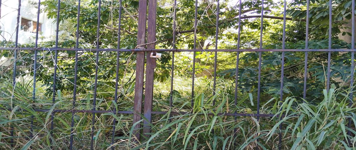 Foto de terreno habitacional en , gonzalo guerrero, solidaridad, quintana roo, 0 foto 05 Foto de terreno habitacional en venta en , gonzalo guerrero, solidaridad, quintana roo, 0 No. 05