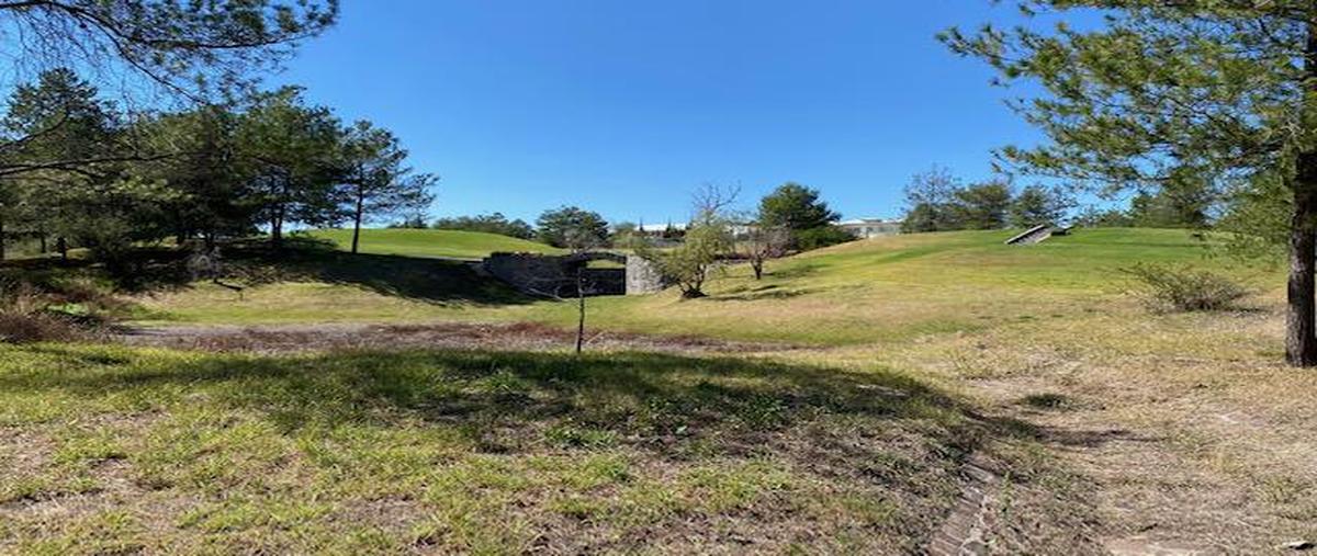 Foto de terreno habitacional en venta en  , gran jardín, león, guanajuato, 28102596 No. 04
