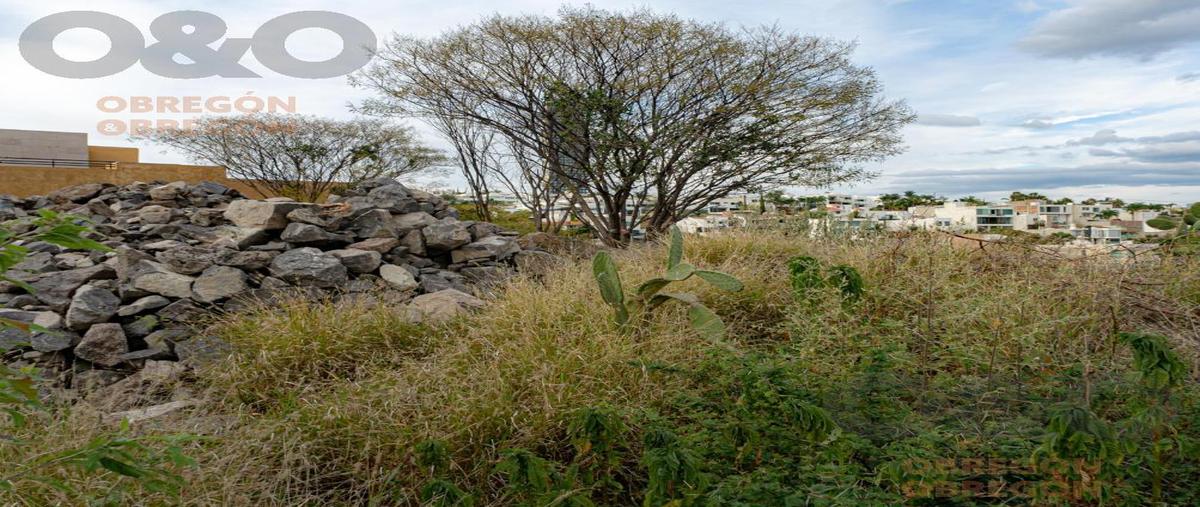 Foto de terreno habitacional en venta en  , gran jardín, león, guanajuato, 30124442 No. 05