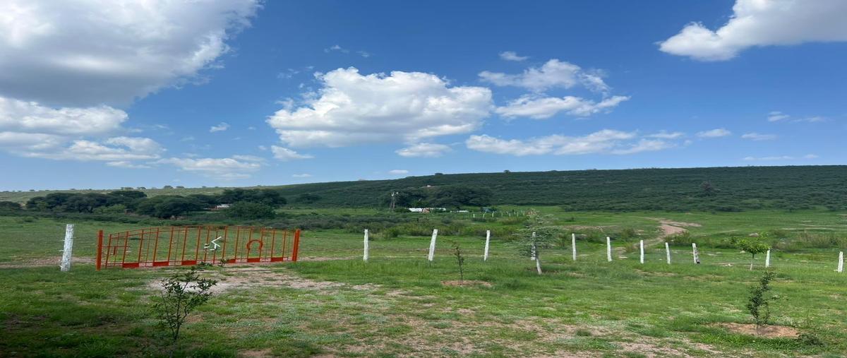 Foto de local en venta en  , gran morelos, gran morelos, chihuahua, 0 No. 03
