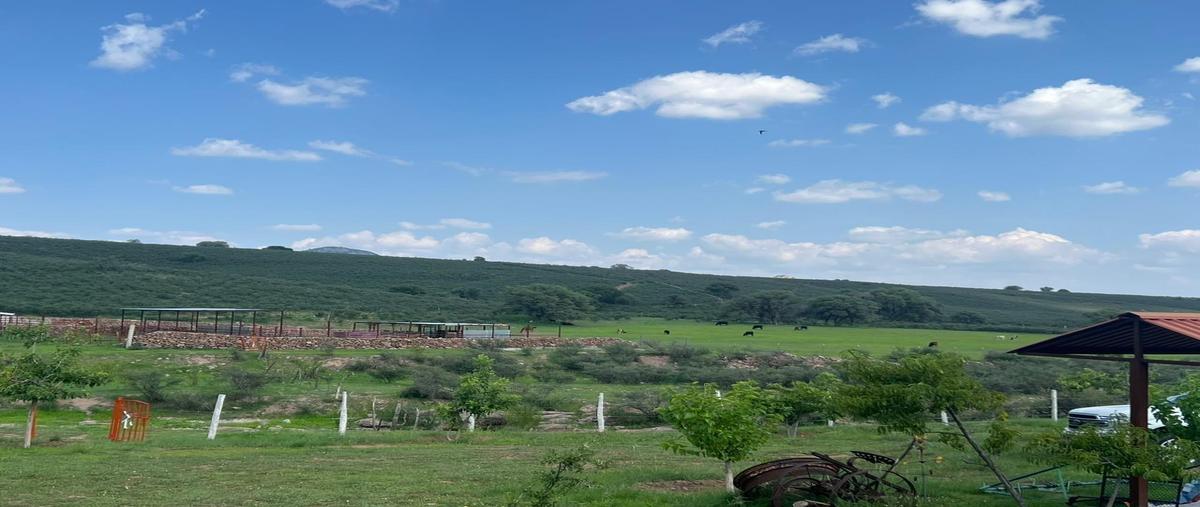 Foto de local en venta en  , gran morelos, gran morelos, chihuahua, 0 No. 05