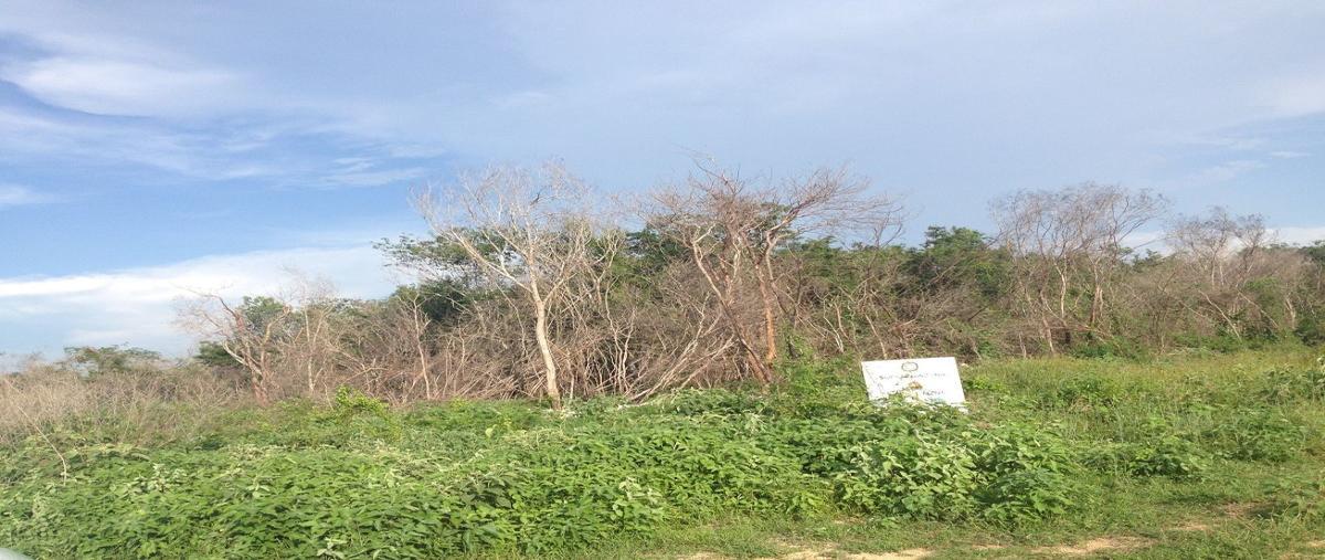 Foto de terreno habitacional en venta en gran pakal norte , cosgaya, mérida, yucatán, 7659394 No. 03