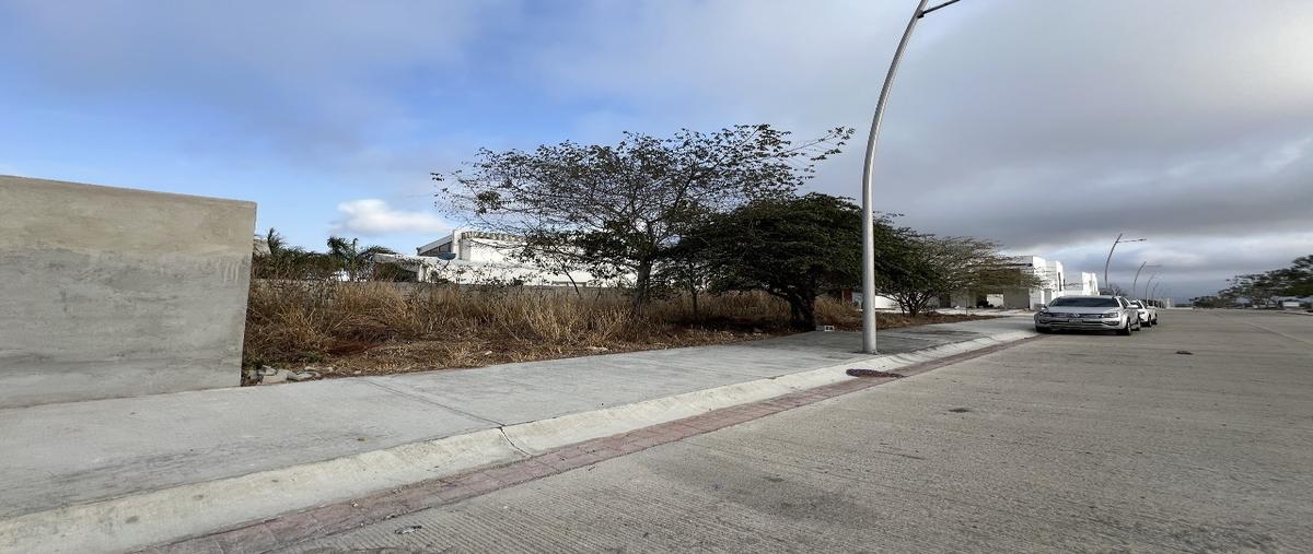 Foto de terreno habitacional en venta en gran pedregal , guadalupe oriente, berriozábal, chiapas, 29461126 No. 03