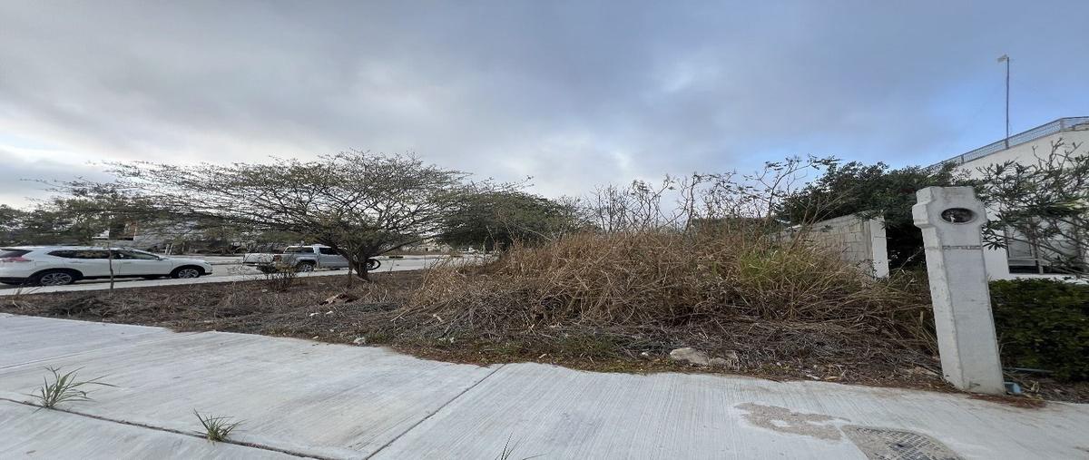 Foto de terreno habitacional en venta en gran pedregal , guadalupe oriente, berriozábal, chiapas, 29461126 No. 04