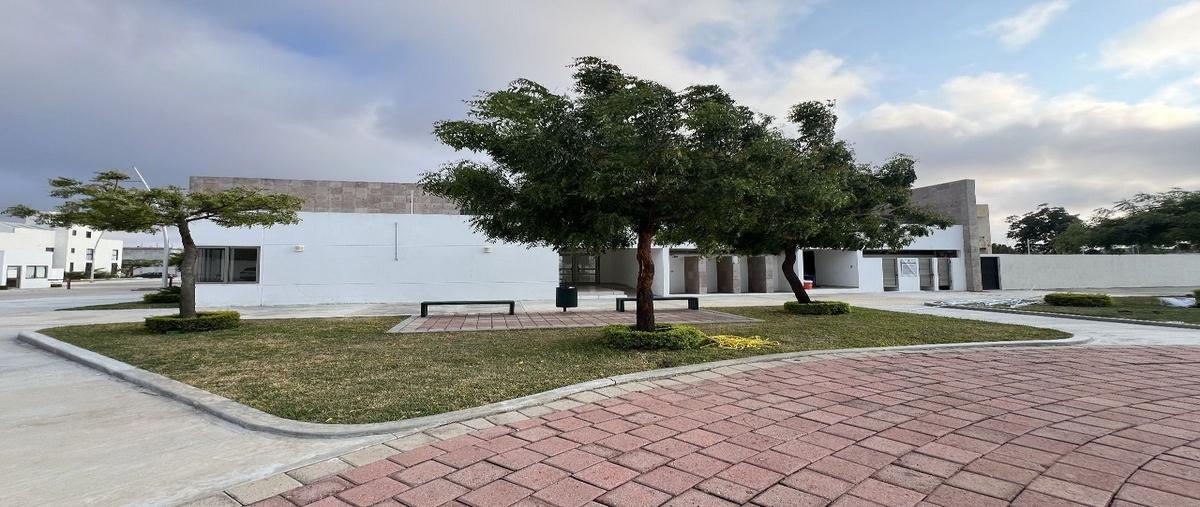 Foto de terreno habitacional en venta en gran pedregal , guadalupe oriente, berriozábal, chiapas, 29461126 No. 05