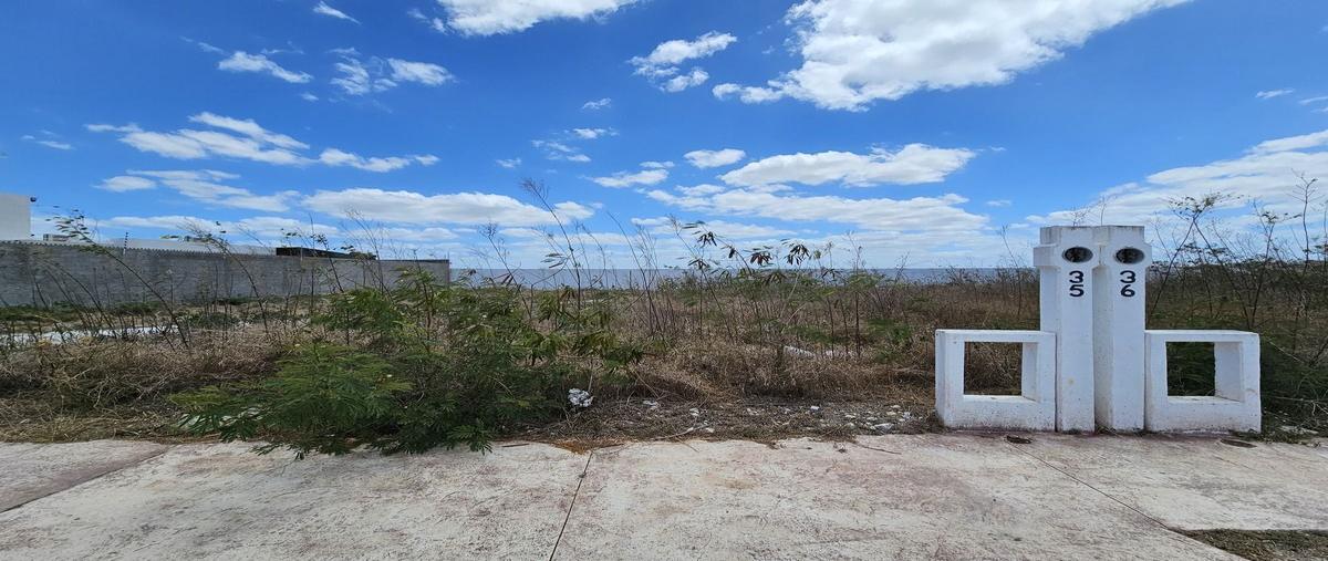 Foto de terreno habitacional en , gran san pedro cholul, mérida, yucatán, 0 foto 04 Foto de terreno habitacional en venta en , gran san pedro cholul, mérida, yucatán, 0 No. 04