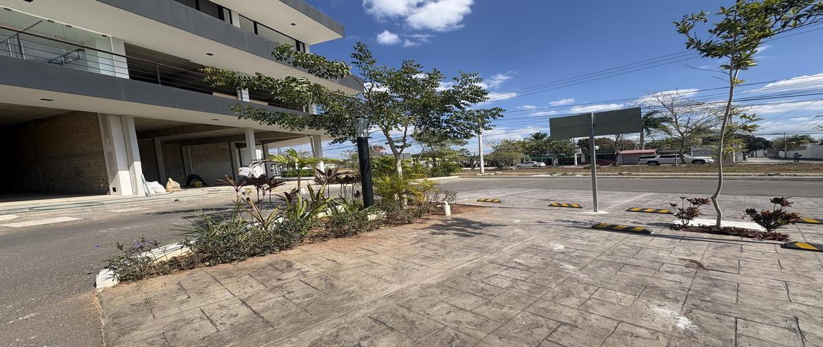 Foto de local en renta en  , gran san pedro cholul, mérida, yucatán, 30878856 No. 05