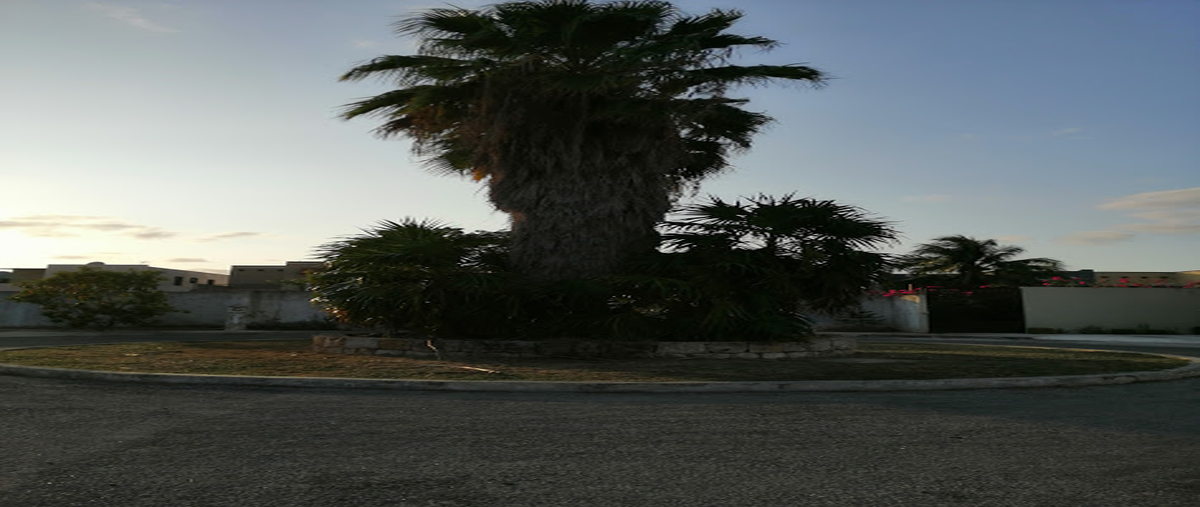 Foto de casa en renta en  , gran santa fe, mérida, yucatán, 19764239 No. 03