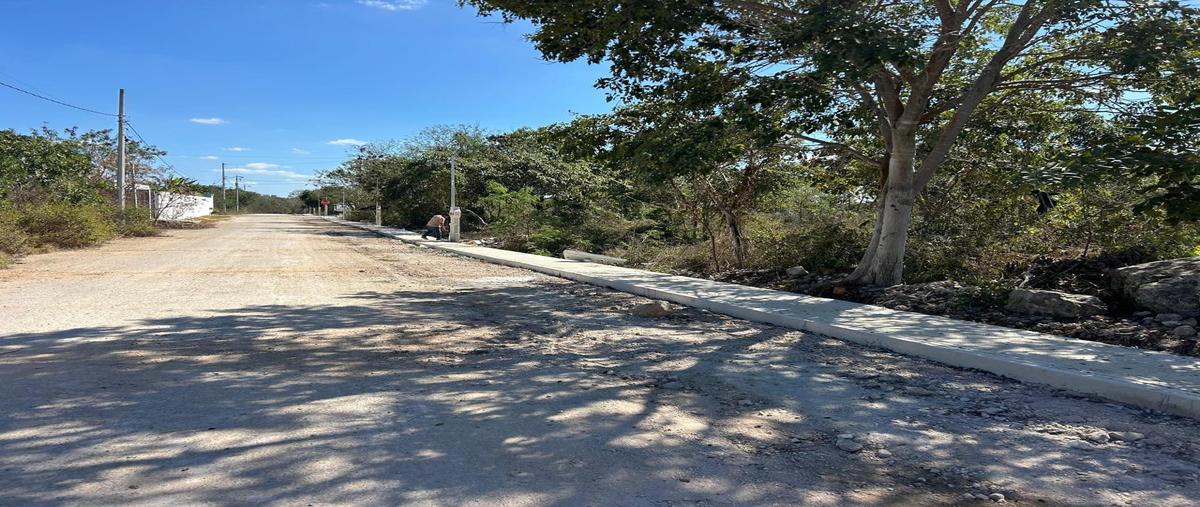 Foto de terreno habitacional en venta en  , gran santa fe, mérida, yucatán, 27571443 No. 03