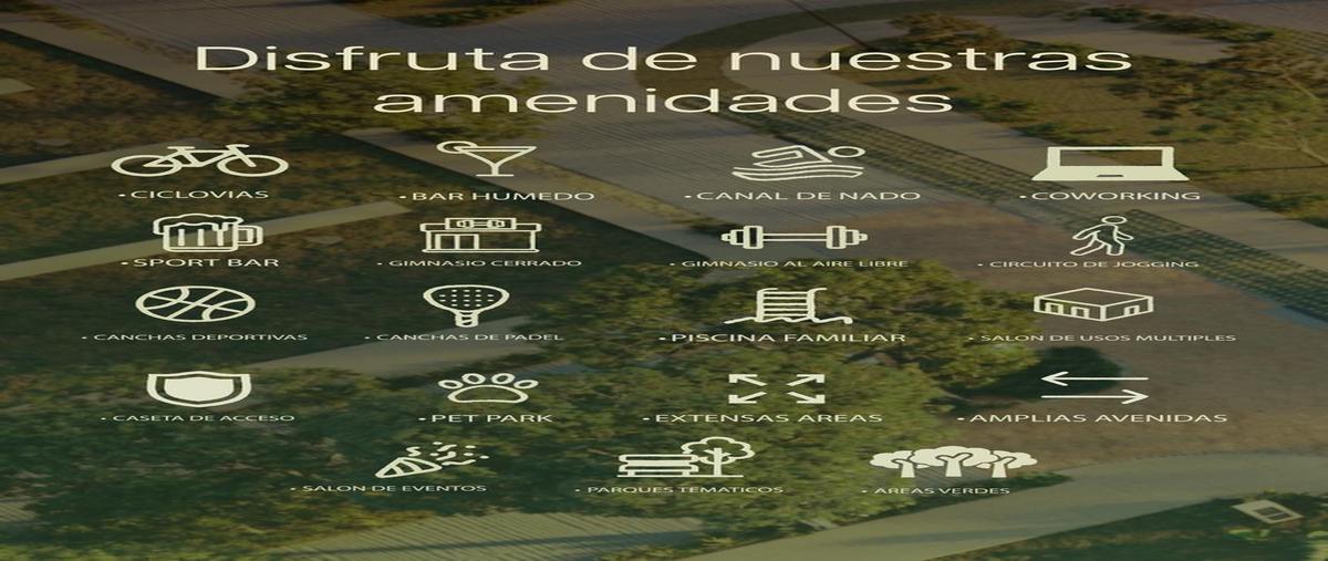 Foto de terreno habitacional en venta en  , gran santa fe, mérida, yucatán, 30286848 No. 04