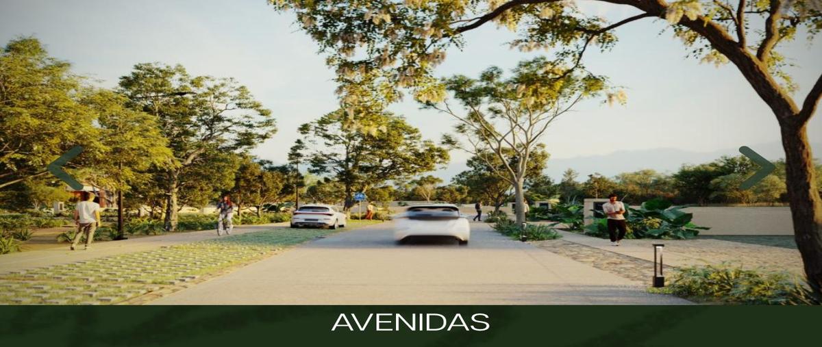 Foto de terreno habitacional en venta en  , gran santa fe, mérida, yucatán, 30286848 No. 05
