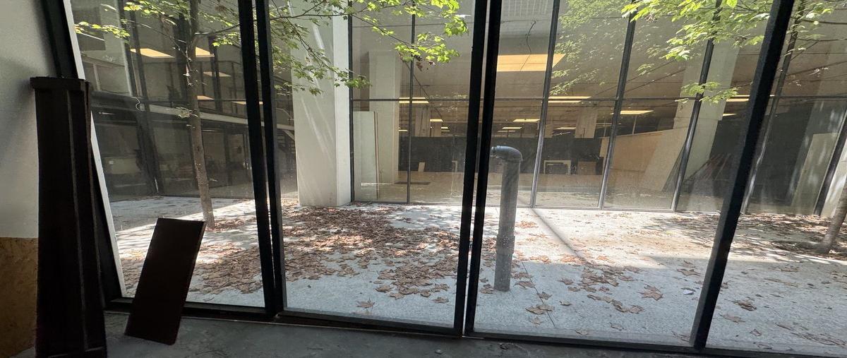 Foto de bodega en renta en  , granada, miguel hidalgo, df / cdmx, 0 No. 05