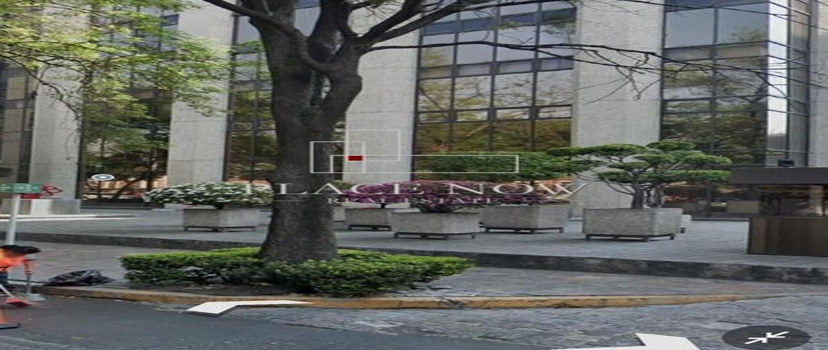 Foto de local en renta en  , granada, miguel hidalgo, df / cdmx, 30140820 No. 05