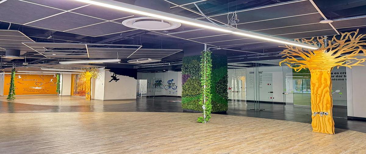 Foto de local en renta en  , granada, miguel hidalgo, df / cdmx, 0 No. 08