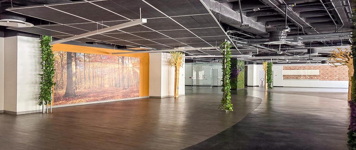 Foto de local en renta en  , granada, miguel hidalgo, df / cdmx, 31501933 No. 04