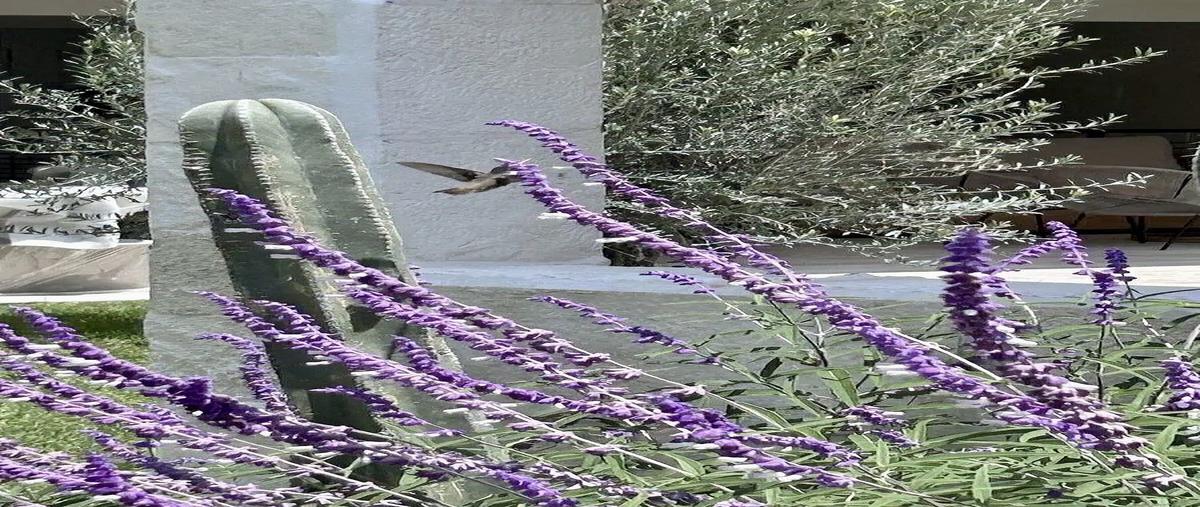 Foto de departamento en renta en grand acacia nuevo desarrollo , zibatá, el marqués, querétaro, 0 No. 06