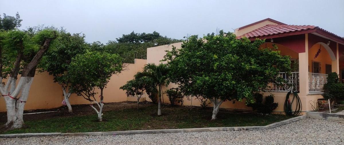 Foto de rancho en venta en grand pedregal , berriozabal centro, berriozábal, chiapas, 0 No. 03