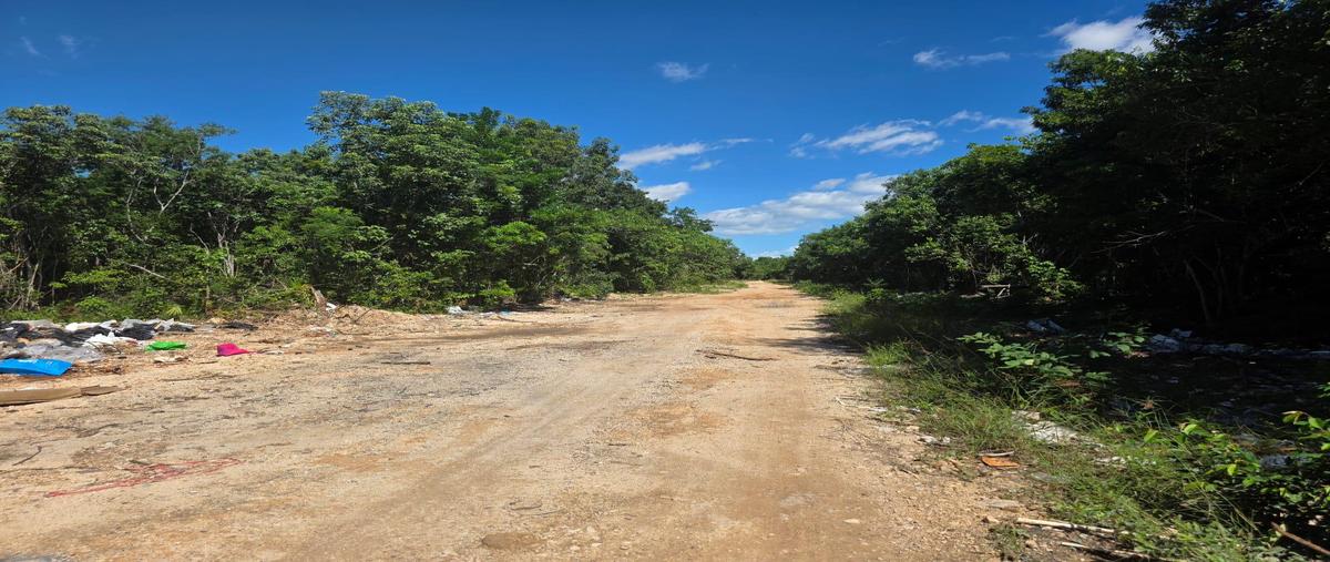 Foto de terreno habitacional en venta en  , grand santa fe, benito juárez, quintana roo, 0 No. 03