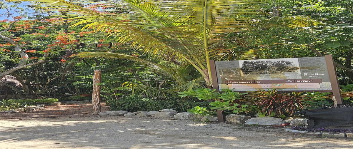 Foto de departamento en venta en  , grand sirenis, solidaridad, quintana roo, 0 No. 04