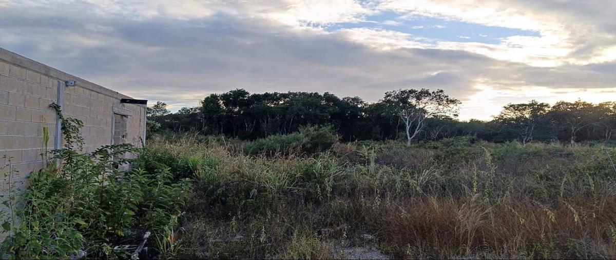 Foto de terreno habitacional en venta en granja keken , seye, seyé, yucatán, 0 No. 03