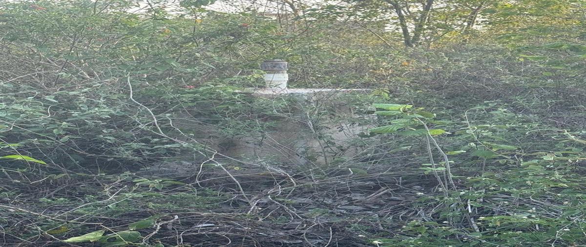 Foto de terreno habitacional en venta en granja keken , seye, seyé, yucatán, 0 No. 05
