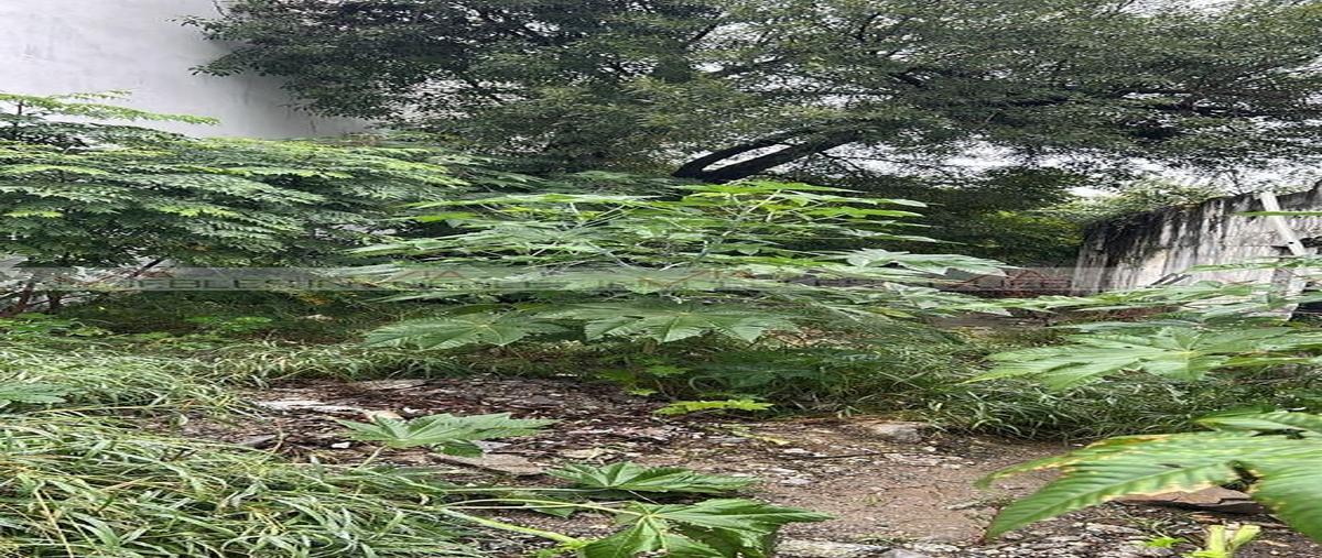 Foto de terreno habitacional en renta en granja postal , granja postal, monterrey, nuevo león, 0 No. 03