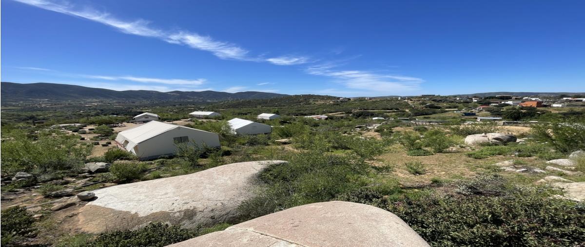 Foto de edificio en venta en  , granjas agrícolas lucio blanco, ensenada, baja california, 0 No. 04