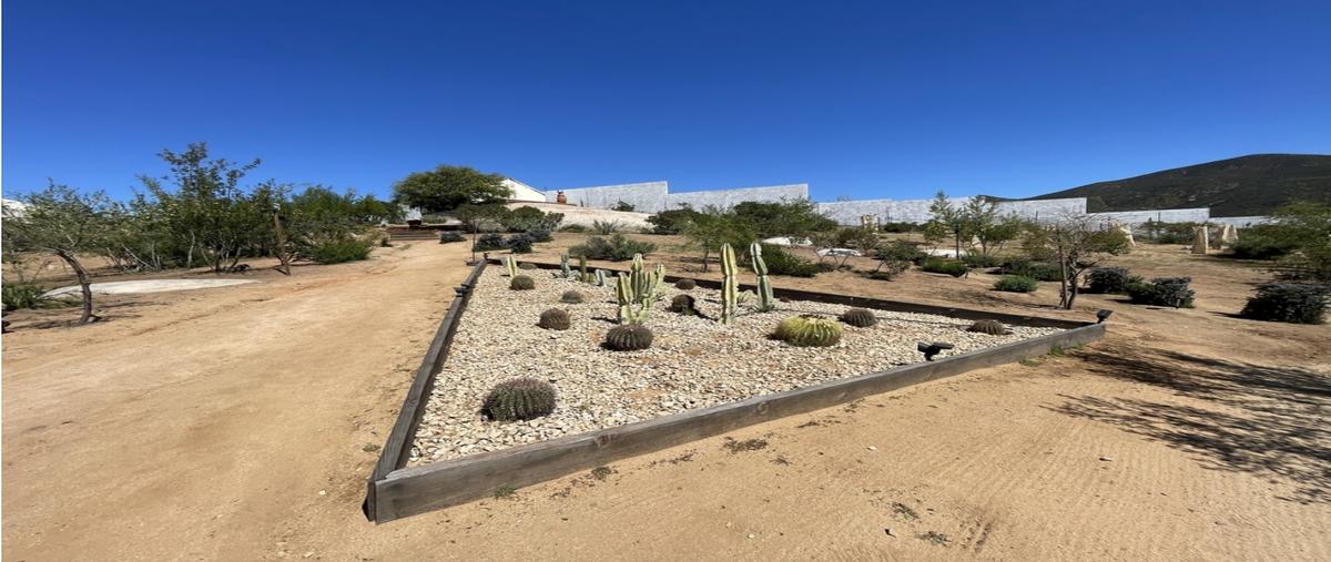 Foto de edificio en venta en  , granjas agrícolas lucio blanco, ensenada, baja california, 0 No. 05