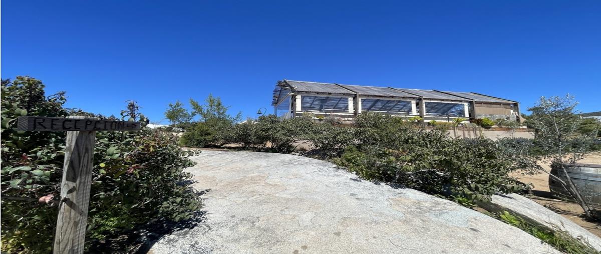 Foto de edificio en venta en  , granjas agrícolas lucio blanco, ensenada, baja california, 0 No. 03