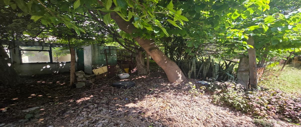 Foto de terreno habitacional en venta en  , granjas atoyac, puebla, puebla, 0 No. 05