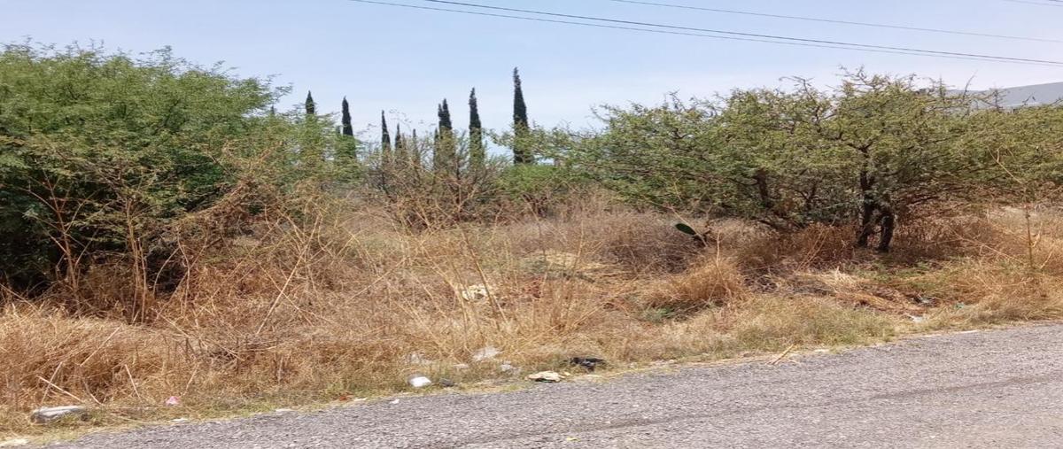 Foto de terreno habitacional en venta en  , granjas banthí sección so, san juan del río, querétaro, 29940492 No. 04
