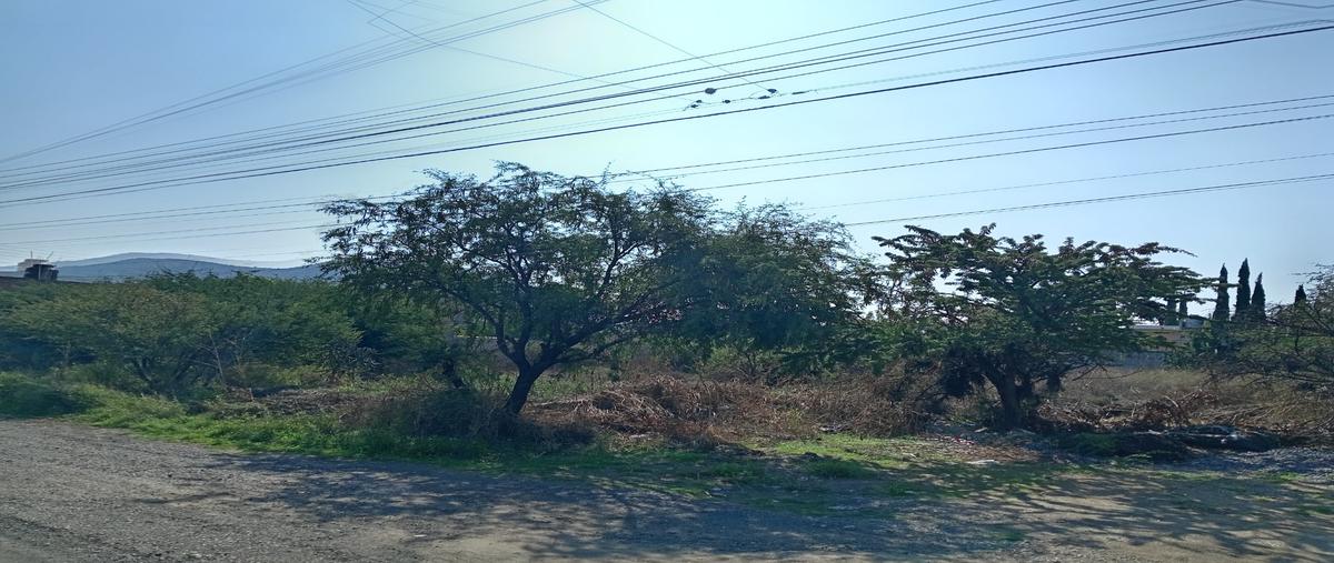 Foto de terreno habitacional en venta en  , granjas banthí sección so, san juan del río, querétaro, 0 No. 05