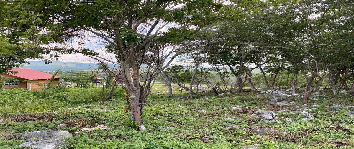 Foto de terreno habitacional en venta en  , granjas club campestre, tuxtla gutiérrez, chiapas, 0 No. 04