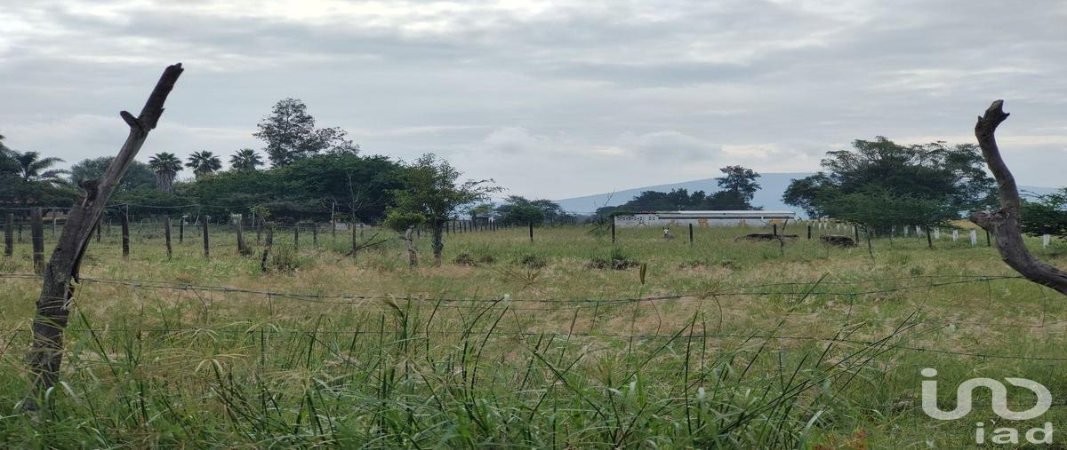 Foto de terreno habitacional en venta en granjas de san isidro 84, san isidro mazatepec, tala, jalisco, 30534642 No. 03