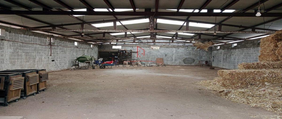 Foto de bodega en renta en  , granjas del valle, chihuahua, chihuahua, 0 No. 03