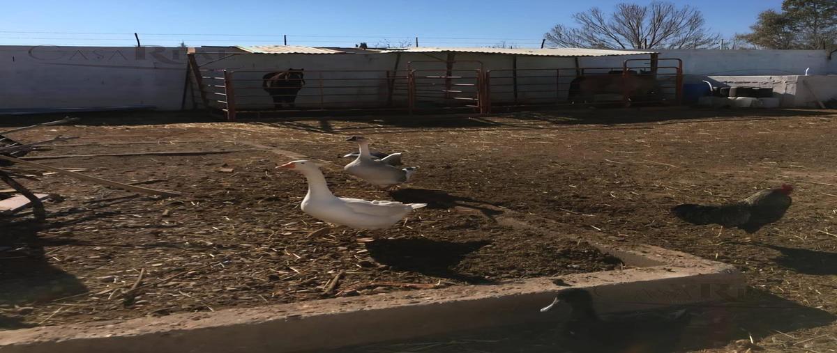 Foto de terreno habitacional en , granjas del valle, chihuahua, chihuahua, 0 foto 05 Foto de terreno habitacional en venta en , granjas del valle, chihuahua, chihuahua, 0 No. 05