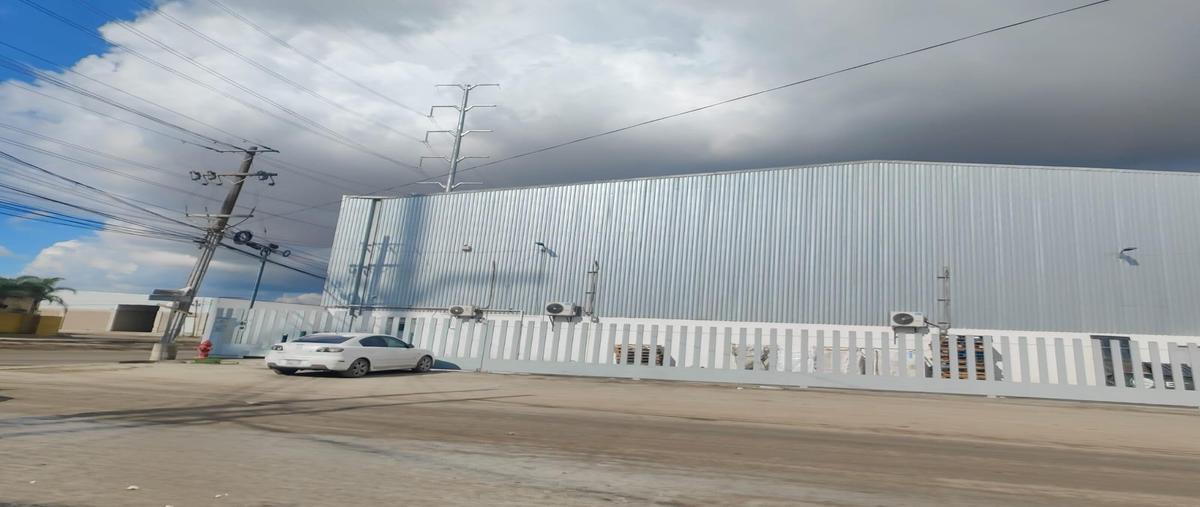 Foto de nave industrial en renta en  , granjas familiares de matamoros, tijuana, baja california, 0 No. 04