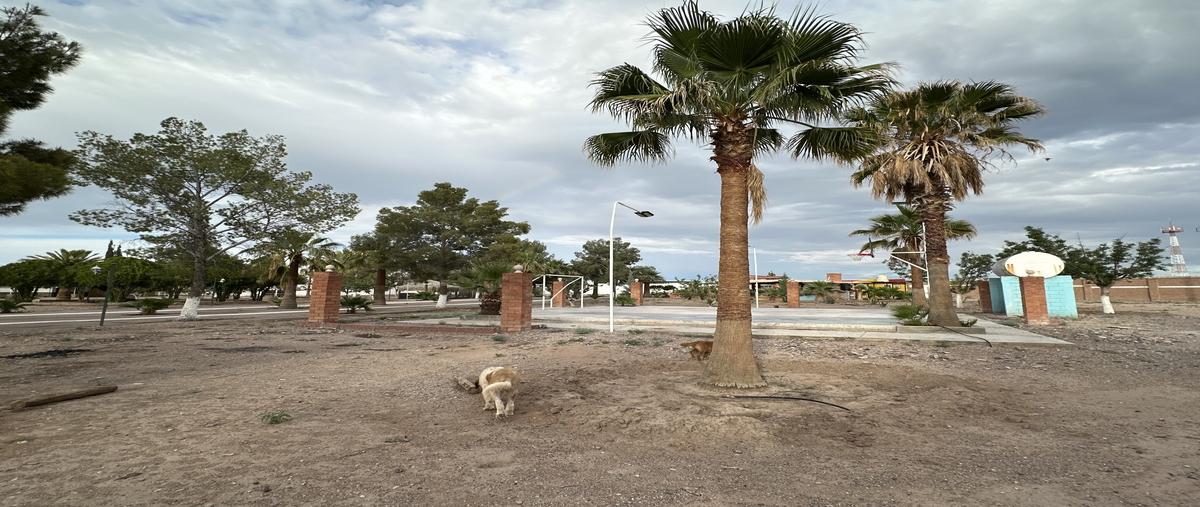 Foto de rancho en venta en granjas los electricistas , las moras, delicias, chihuahua, 0 No. 04